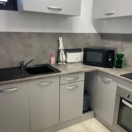 Chaleureuse Annexe Contemporaine Appartamento Ensisheim