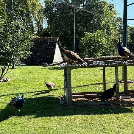 Chaleureuse Annexe Contemporaine * Ensisheim