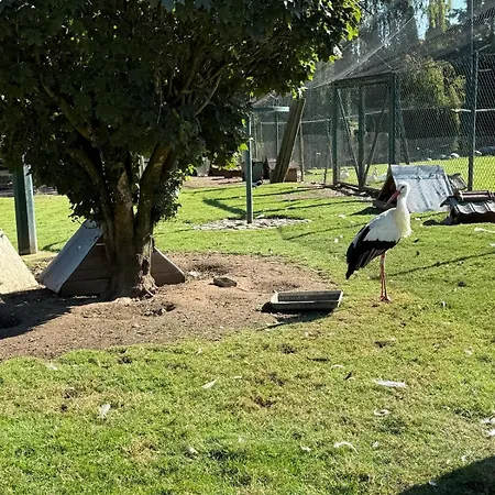 Chaleureuse Annexe Contemporaine Apartman *