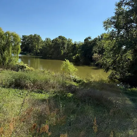 Apartman Chaleureuse Annexe Contemporaine