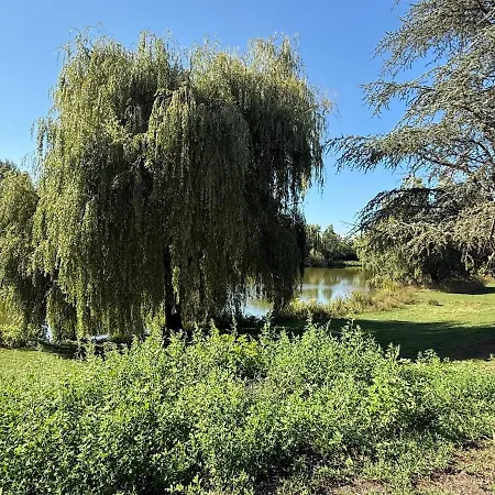 Chaleureuse Annexe Contemporaine Apartman