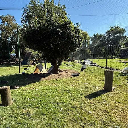 Apartman Chaleureuse Annexe Contemporaine *