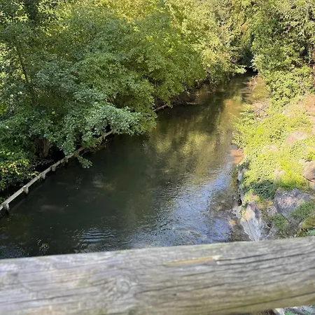 Chaleureuse Annexe Contemporaine * Ensisheim