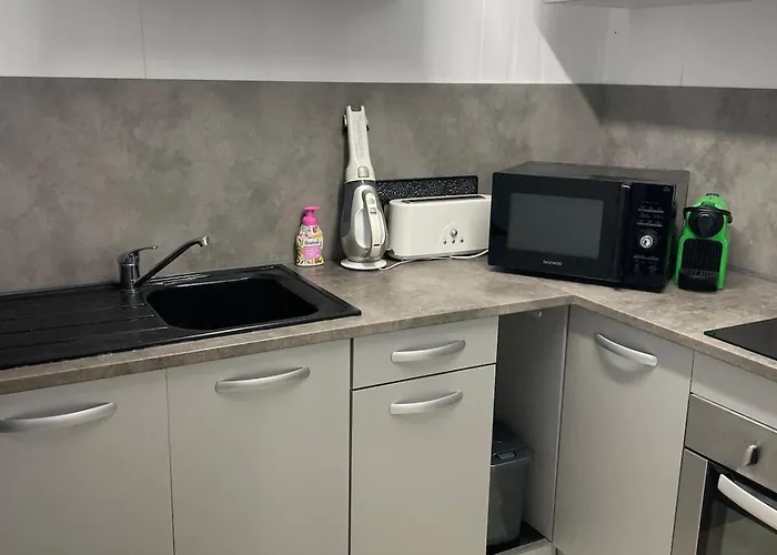 Chaleureuse Annexe Contemporaine Apartman Ensisheim