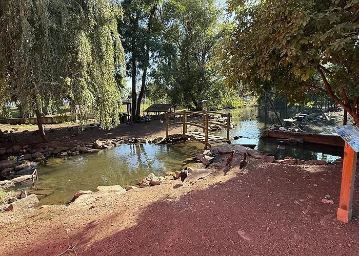 Apartman Chaleureuse Annexe Contemporaine