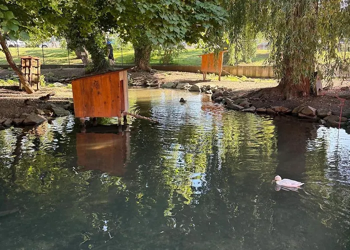 Chaleureuse Annexe Contemporaine Apartman