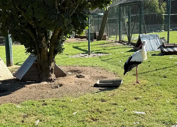 Chaleureuse Annexe Contemporaine Apartman *