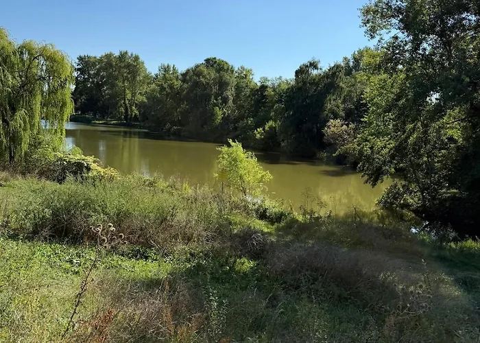 Apartman Chaleureuse Annexe Contemporaine