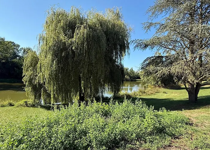 Chaleureuse Annexe Contemporaine Apartman