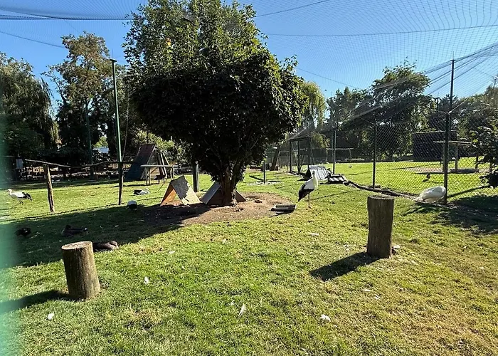 Apartman Chaleureuse Annexe Contemporaine *