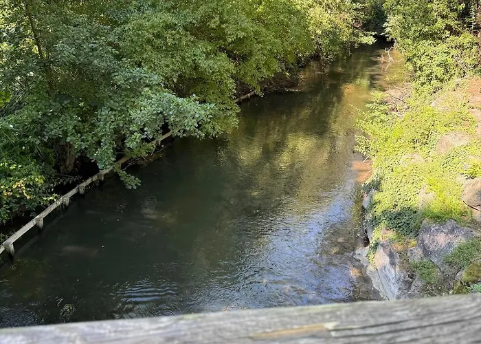 Chaleureuse Annexe Contemporaine * Ensisheim